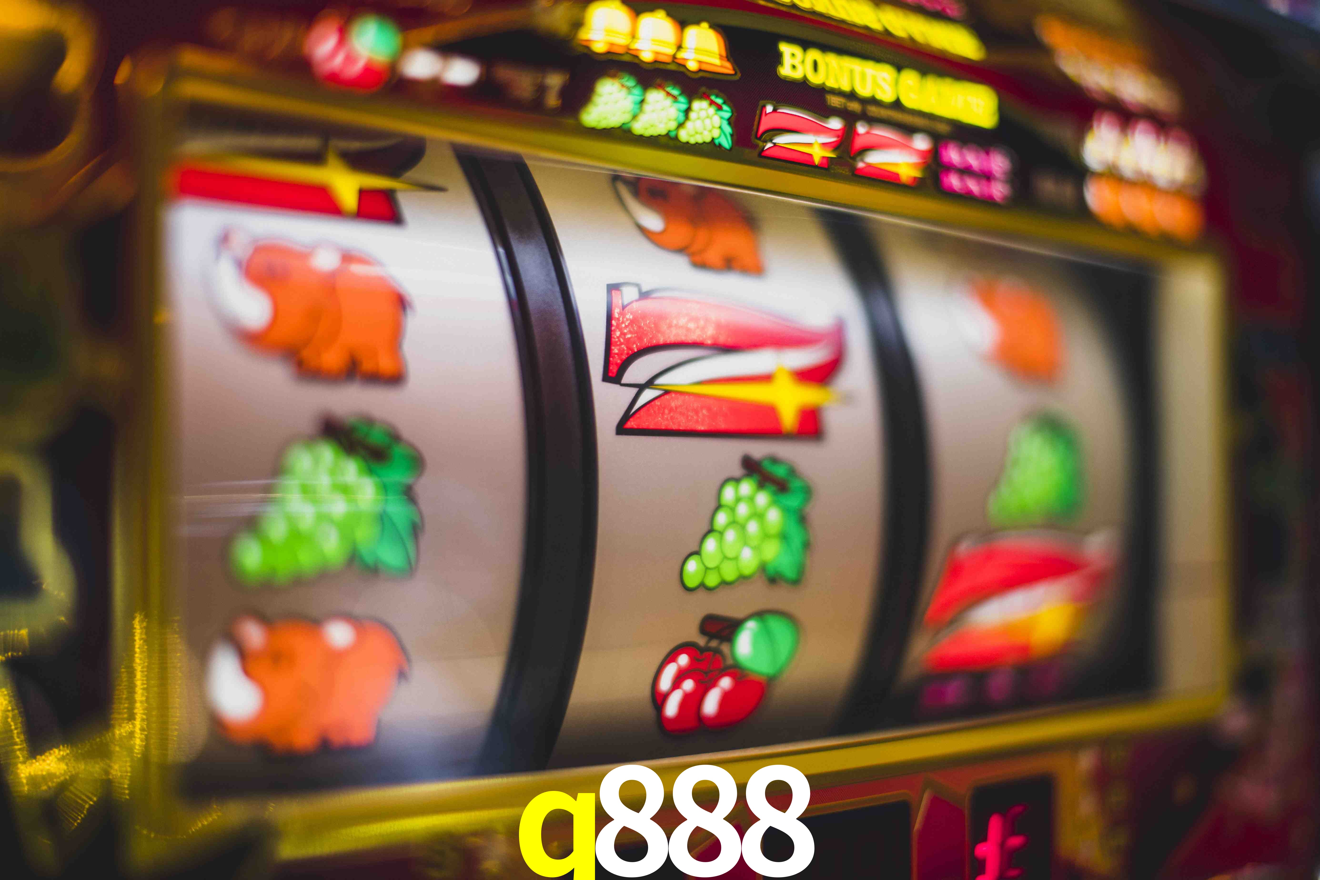 VIP Casino q888